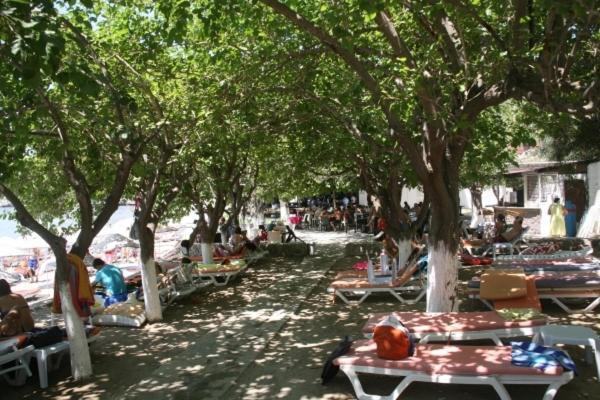 Meteor Beach Hotel Turgutreis Exterior foto